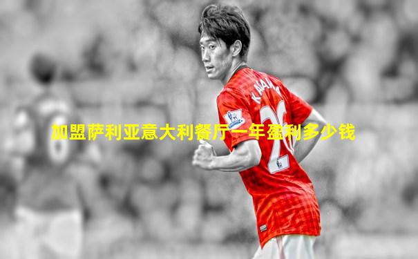 加盟萨利亚意大利餐厅一年盈利多少钱