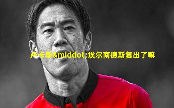 卢卡斯·埃尔南德斯复出了嘛