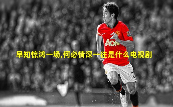 早知惊鸿一场,何必情深一往是什么电视剧