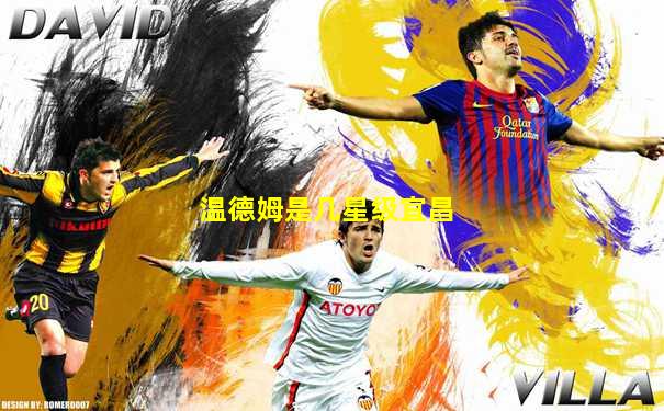 温德姆是几星级宜昌