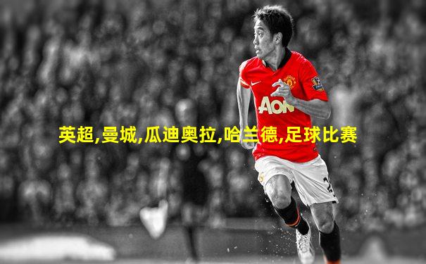英超,曼城,瓜迪奥拉,哈兰德,足球比赛